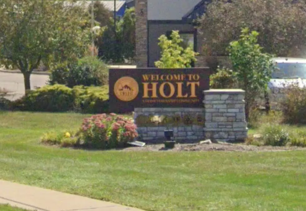 7 Things You Probably Did Not Know About Holt Michigan