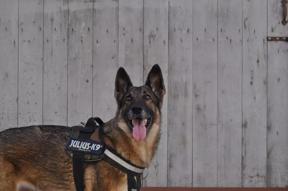 “Tank” the K9 Helps Eaton County Sheriff’s Office Twice in One Day