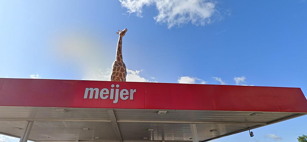 Where Did The Giraffe Go At The West Saginaw Meijer Gas Station?