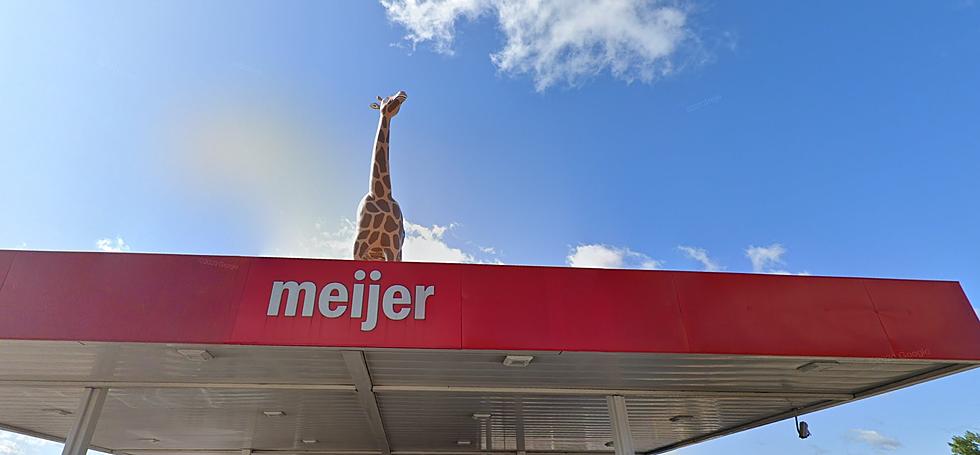 Where Did The Giraffe Go At The West Saginaw Meijer Gas Station? 