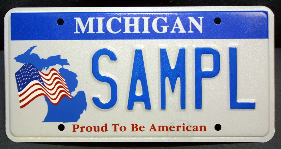 Patriotic Michigan License Plate