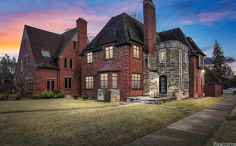 Take A Look: You Could Own This East Michigan Castle
