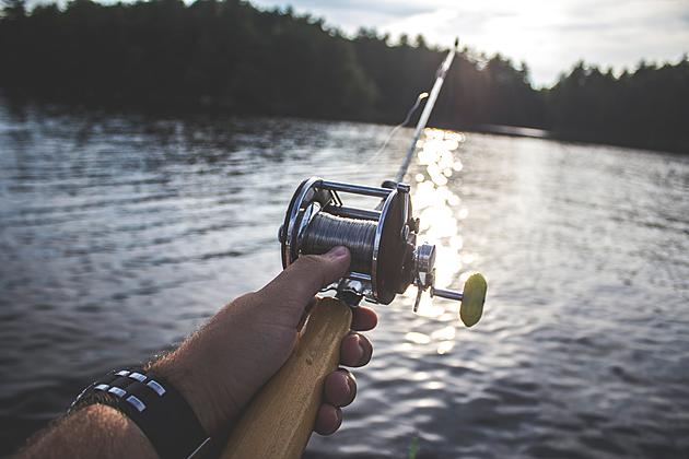 Fishing Rods for sale in Grand Ledge, Michigan