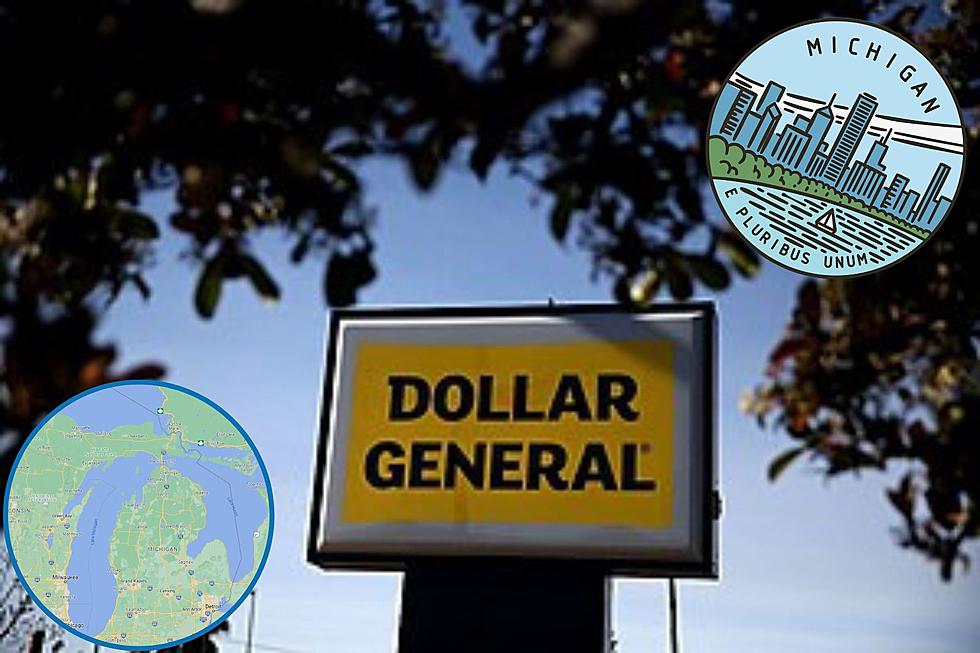 This Michigan County Has The Most Dollar Generals