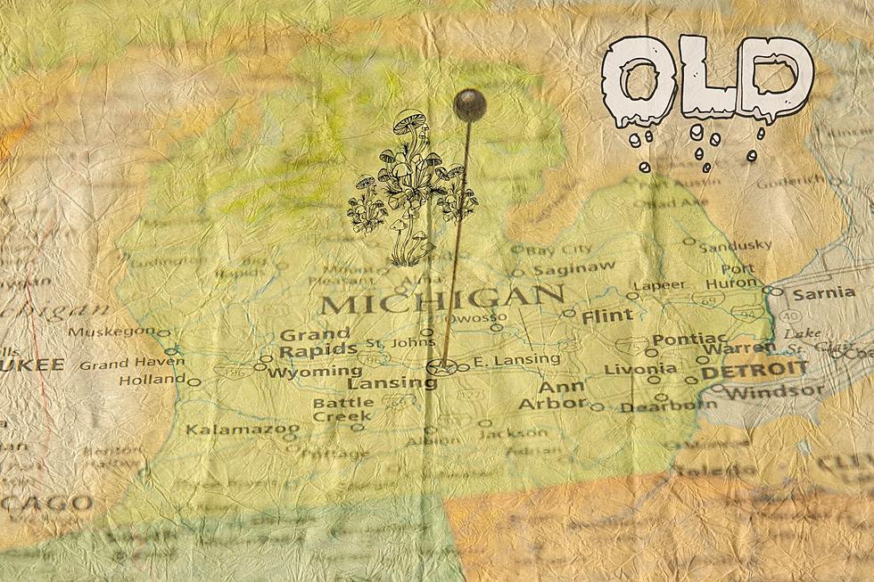 You Won&#8217;t Believe What We Found: The Oldest Living Organism in Michigan!
