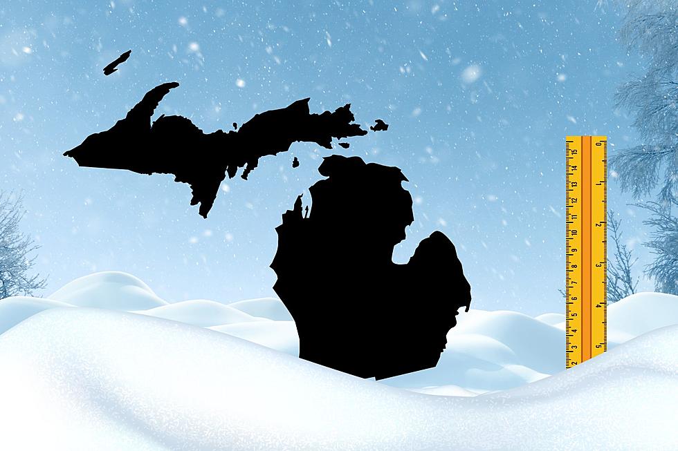 Snowpocalypse: These 20 Michigan Towns Experience The Worst Snowfall