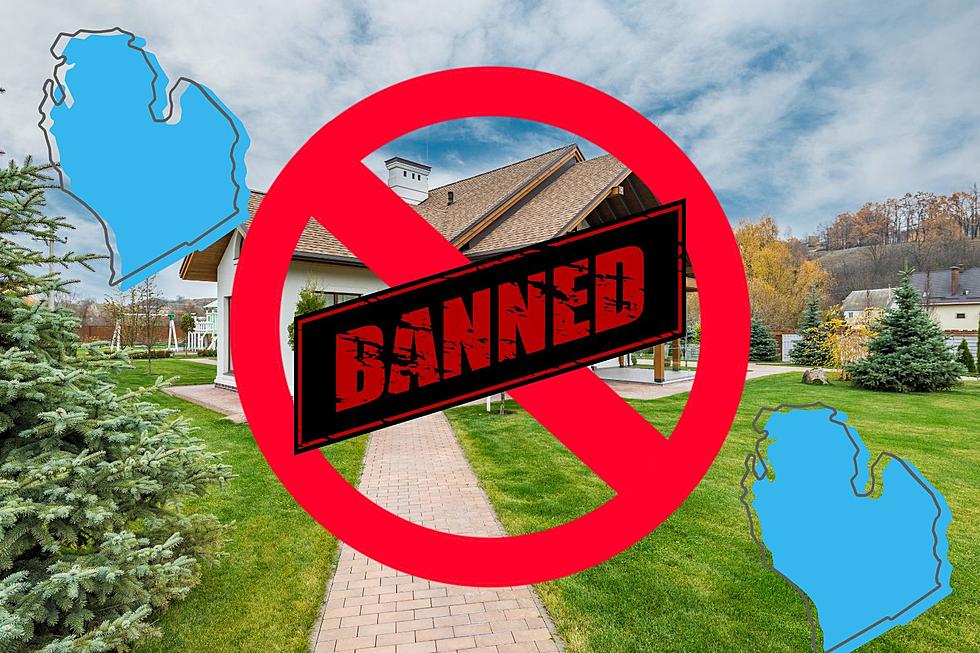 A New Law Bans A Beloved Household Item in Michigan