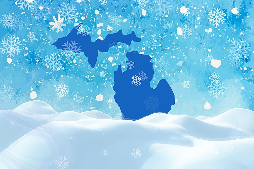All 83 Michigan Counties Ranked On The Amount Of Snow Per Year
