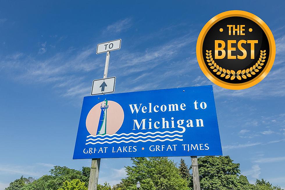 What City in Michigan is Ranked the Overall Best One to Live In?