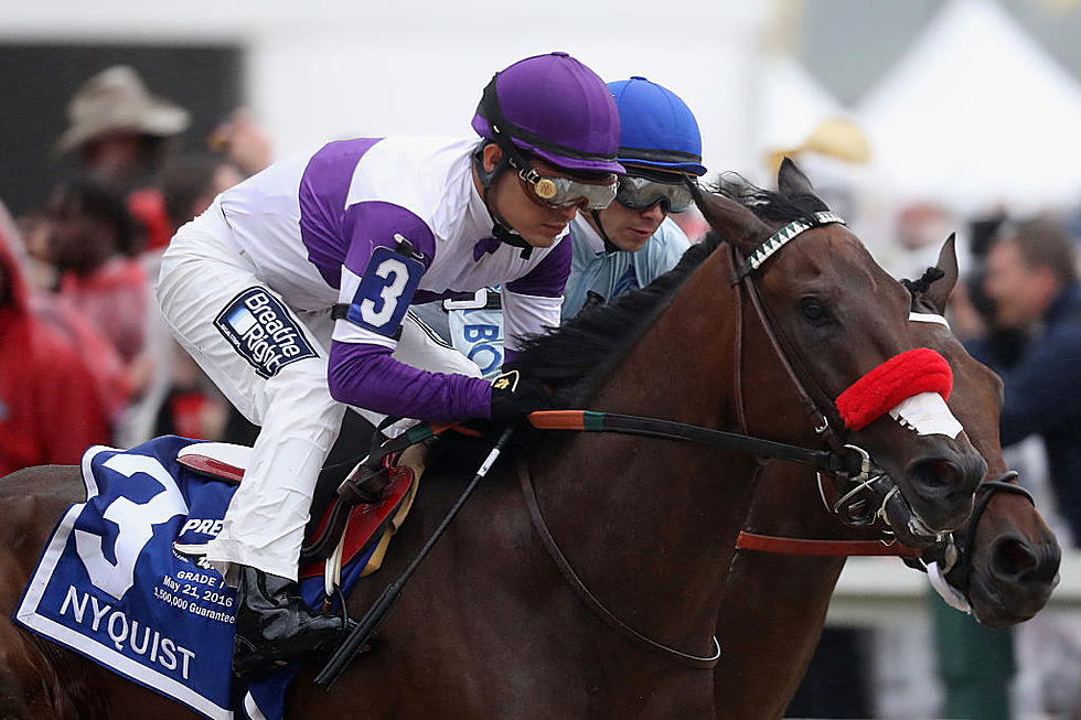 Nyquist Out Of Belmont Stakes