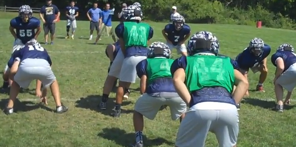 2016 DeWitt Panthers Football Preview