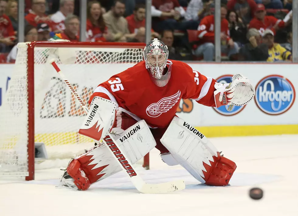Jimmy Howard Has MCL Sprain, Out 4-6 Weeks