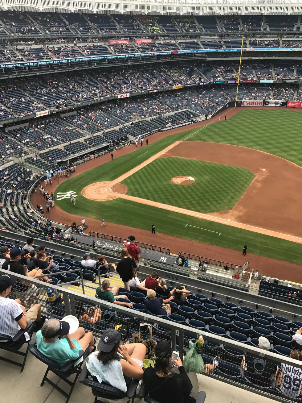 Baseball is Finally Back!