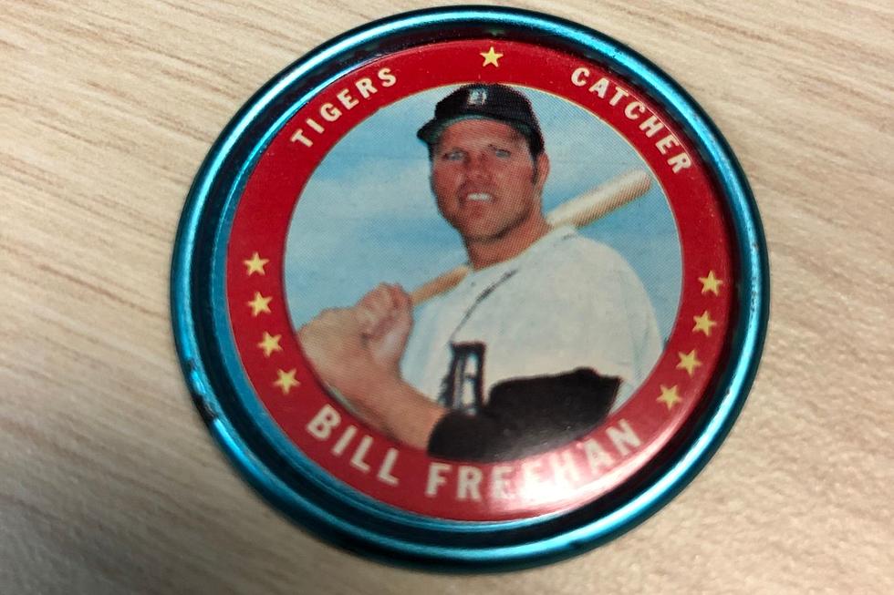 Bill Freehan Was an Outstanding Player For the Tigers