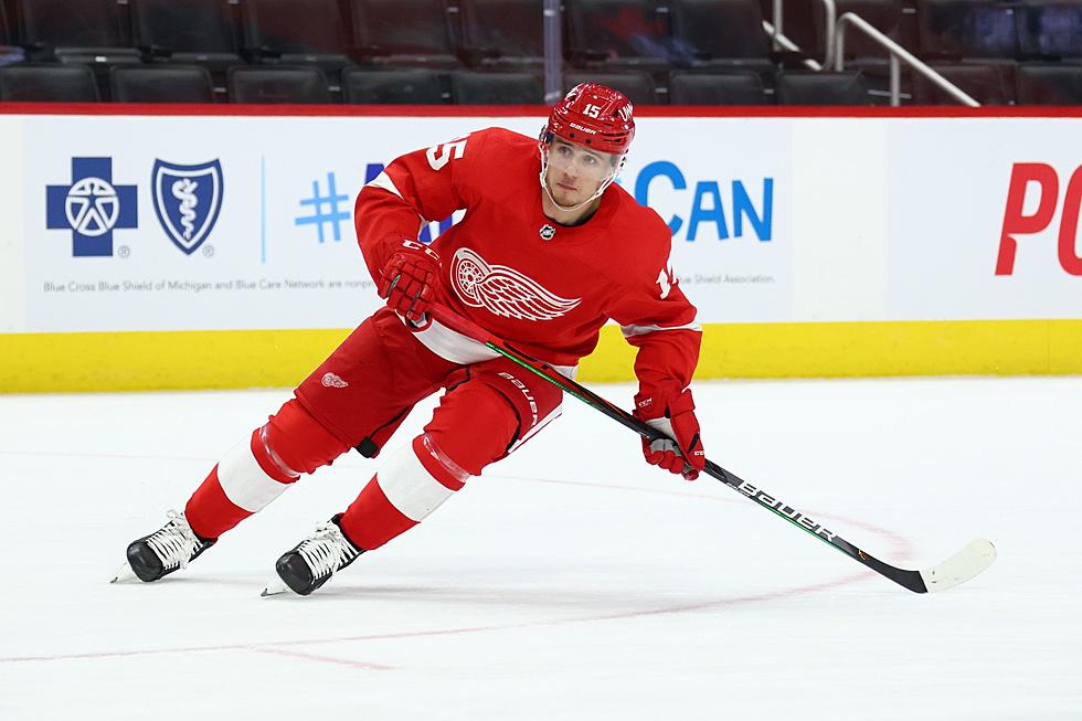 Red Wings Agree To Terms With Forward Jakub Vrana