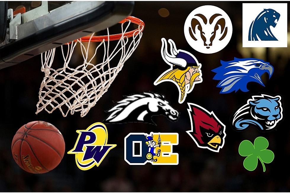 Mid-Michigan High School Girls Basketball Top 10 Teams