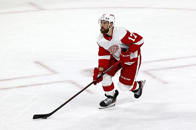 Detroit Red Wings Put On Pause By NHL
