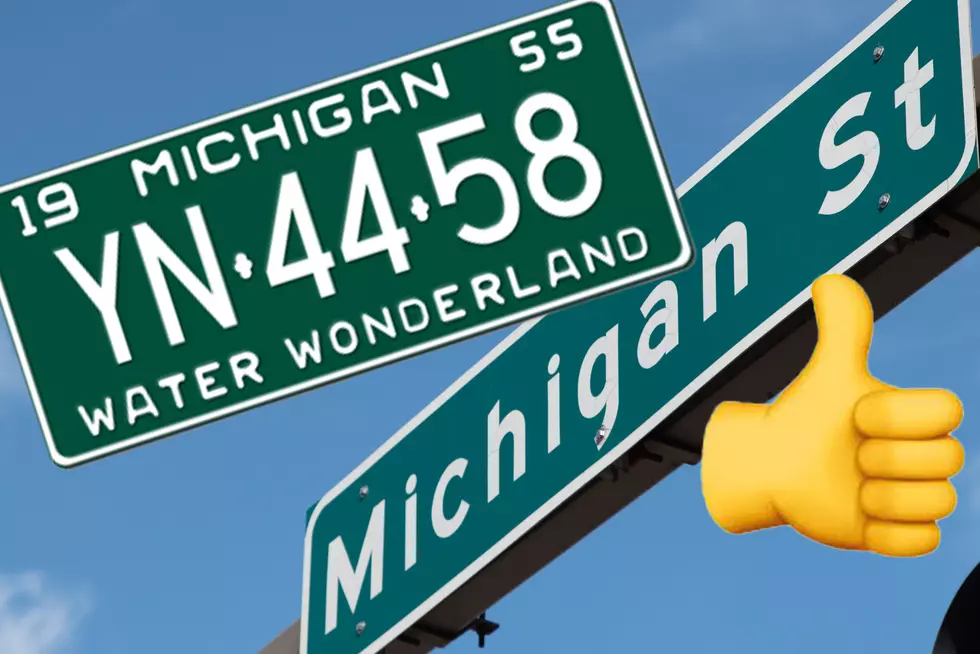 If Only There Were A Green And White Retro Michigan License Plate (SPOILER: There Is!)