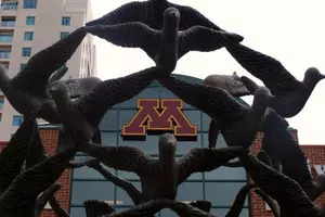 Rochester City Council Asked to Support a Public Art Program