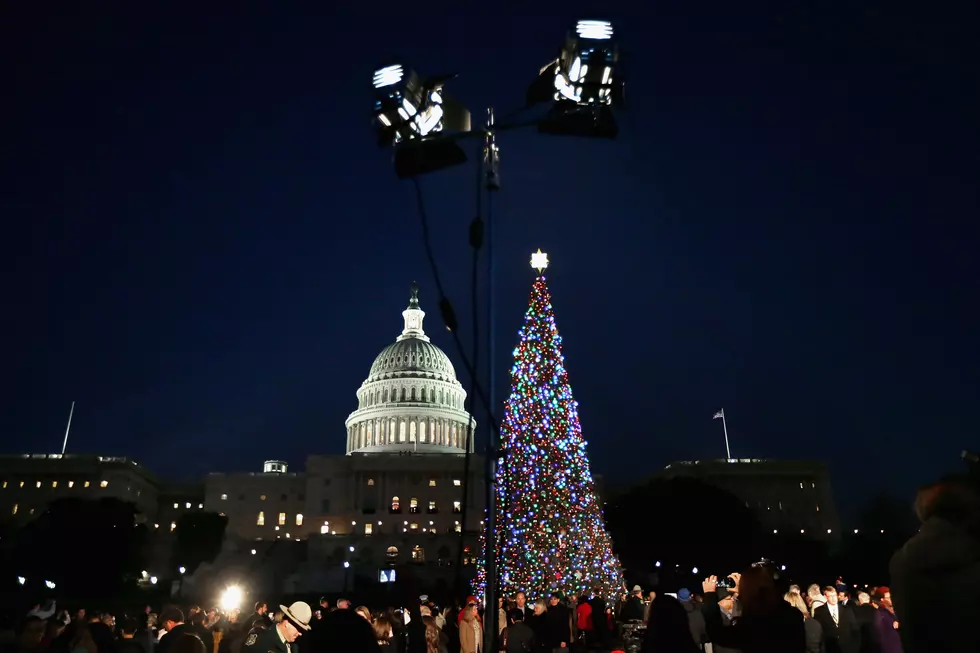 Next Year&#8217;s U.S. Capitol Christmas Tree to Come from Minnesota