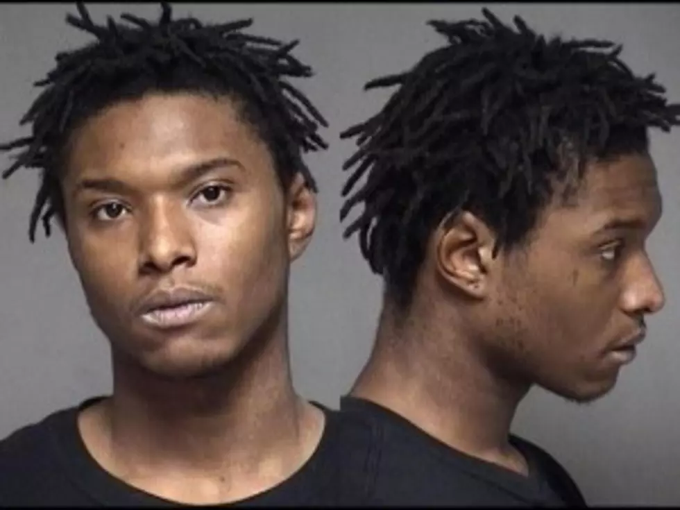 Gun Charge Results in Jail and Probation for Byron Teen