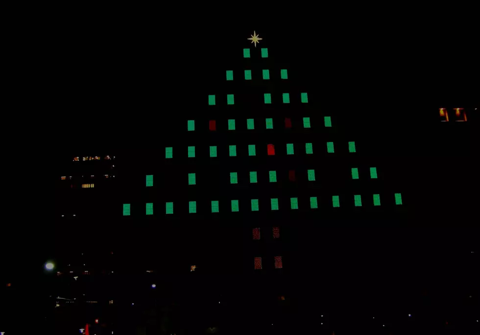 128 Foot Tall Christmas Tree Lit Up in Rochester!