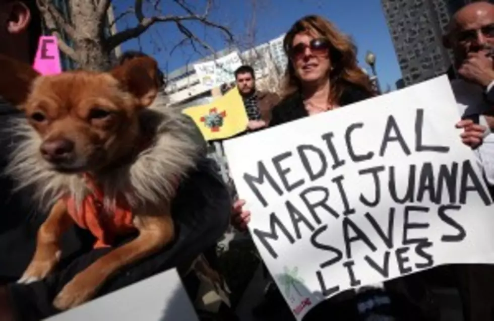 Medical Marijuana Proposals Headed To Conference Committee