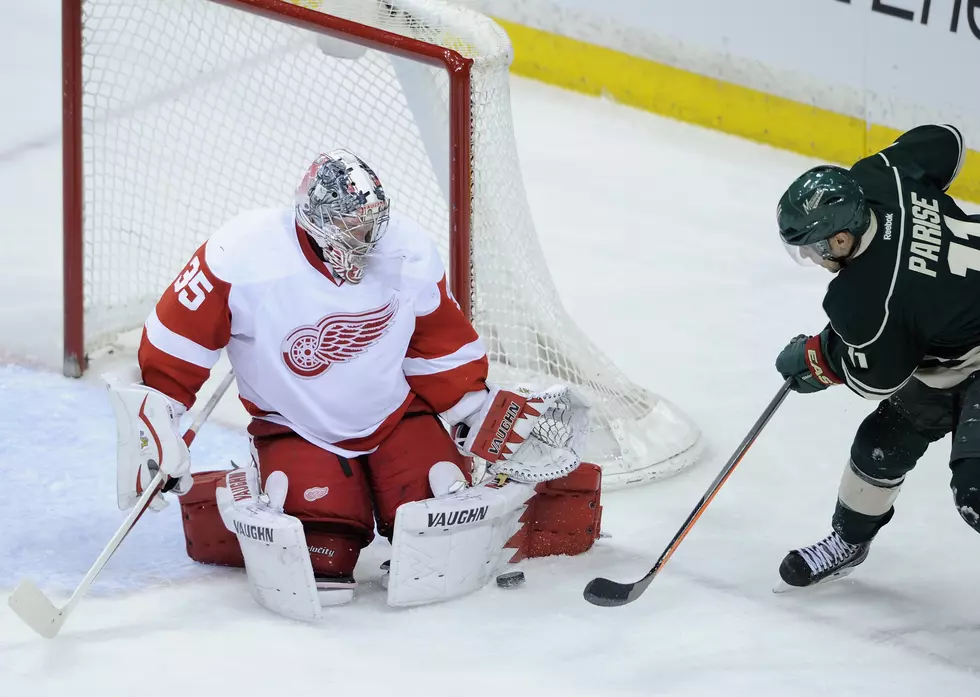 Wild Lose at Home to Red Wings