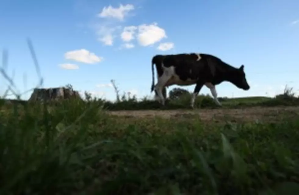 MN Farmer Won&#8217;t Face Additional Punishment For Raw Milk Sales
