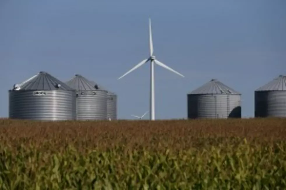 Estimate of 2015 Minnesota Corn Harvest Lowered