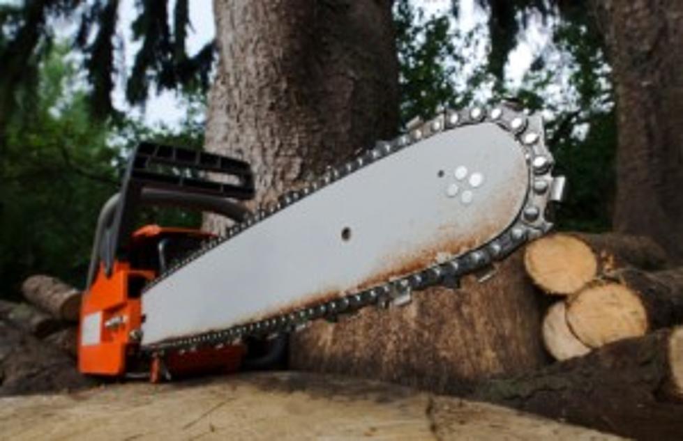 Tree Trimmer Survives 60 Foot Plunge