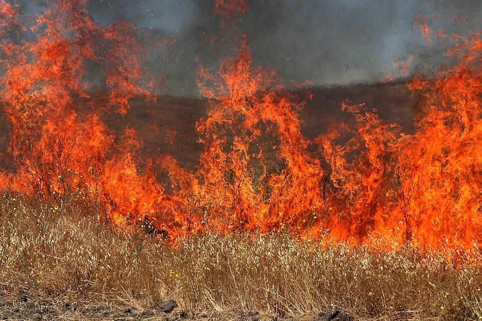 Controlled Burn Gets Out of Control near Stewartville