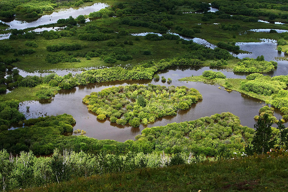 Minnesota Led Nation for Converting Wetlands into Farmland