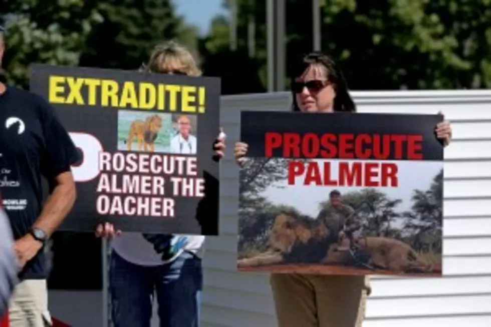 Minnesota Dentist Re-Opens Office After Cecil Backlash