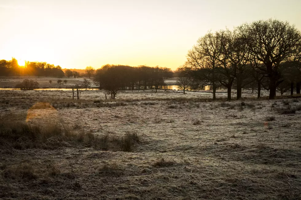 Chilly Start to the Weekend – Warmer Weather Coming