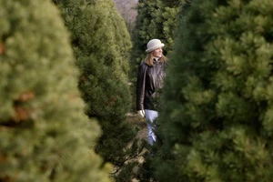 Christmas Tree Growers Happy About &#8220;Good Year&#8221;