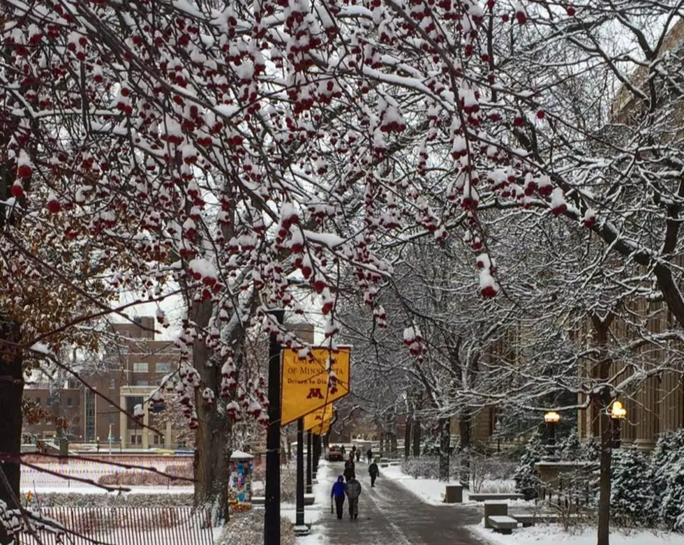 University of Minnesota Regents Consider Major Non-Resident Tuition Increase