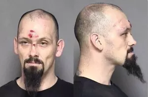 Rochester Man Slashed by Stranger