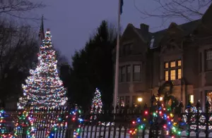 Gov Dayton to Light State&#8217;s Official Christmas Tree