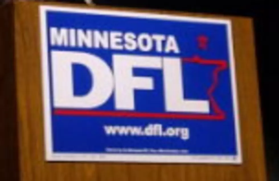 Minnesota Democrats Re-elect Party Chairman