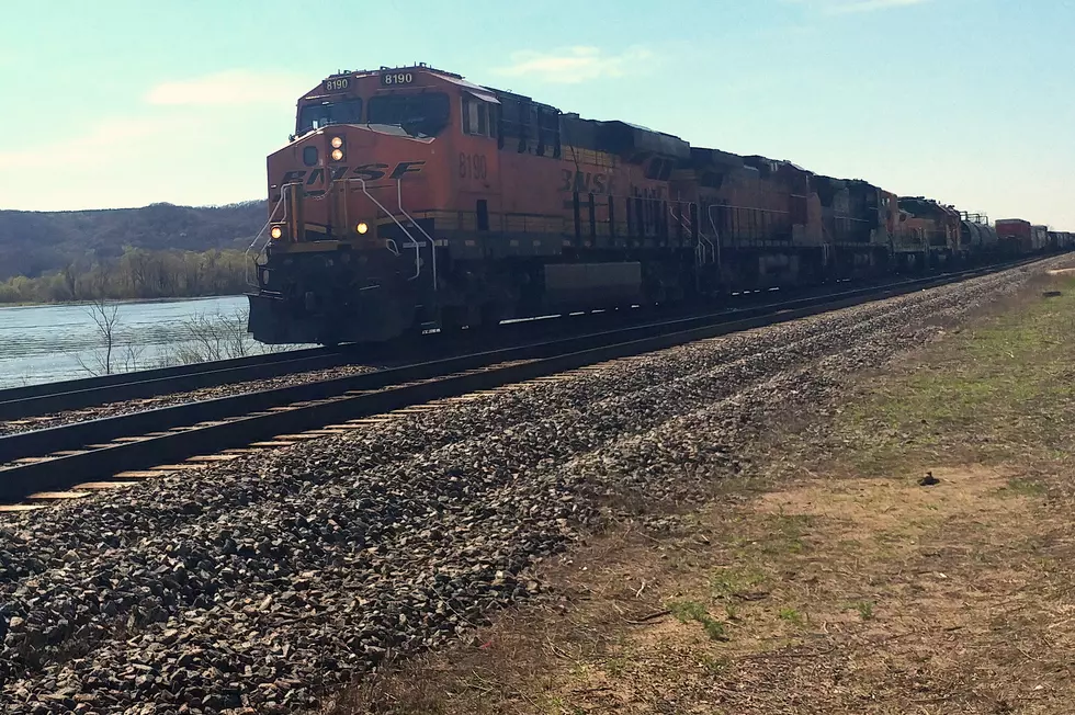 Albert Lea Woman Struck and Killed by Train