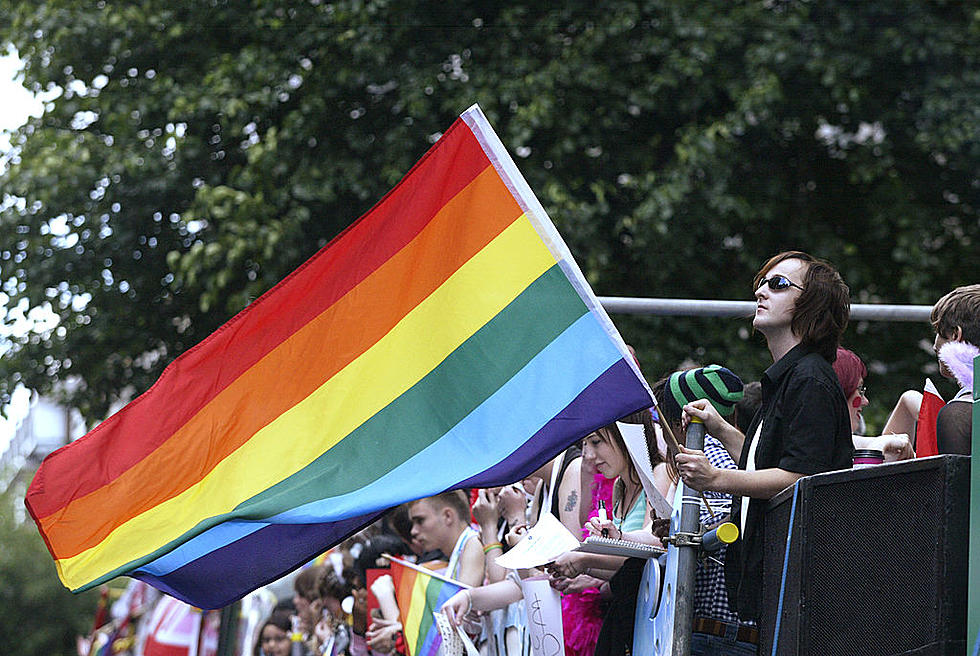 Police Asked to Stay Away From Twin Cities Pride Parade