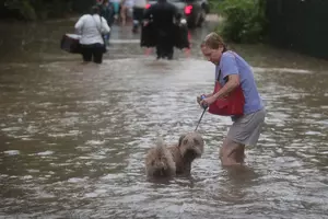 Harvey Dumps Two Feet of Rain on Houston; More on the Way