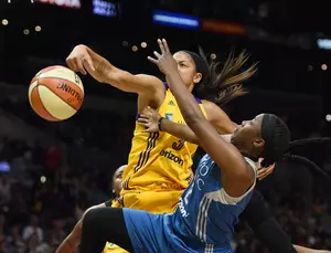 Lynx Lose to Sparks in LA