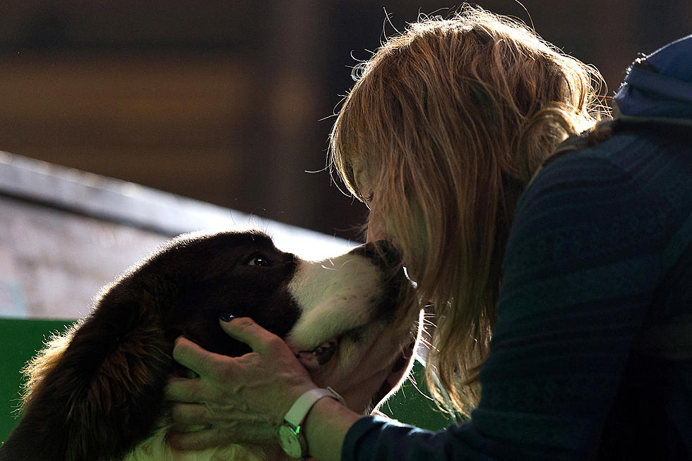 South Dakota Dog Sets New World Record