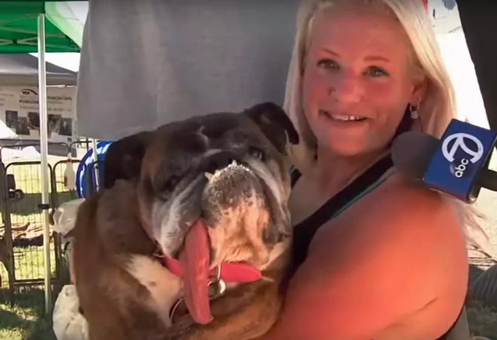 Ugliest Dog in the World Dies at Minnesota Home