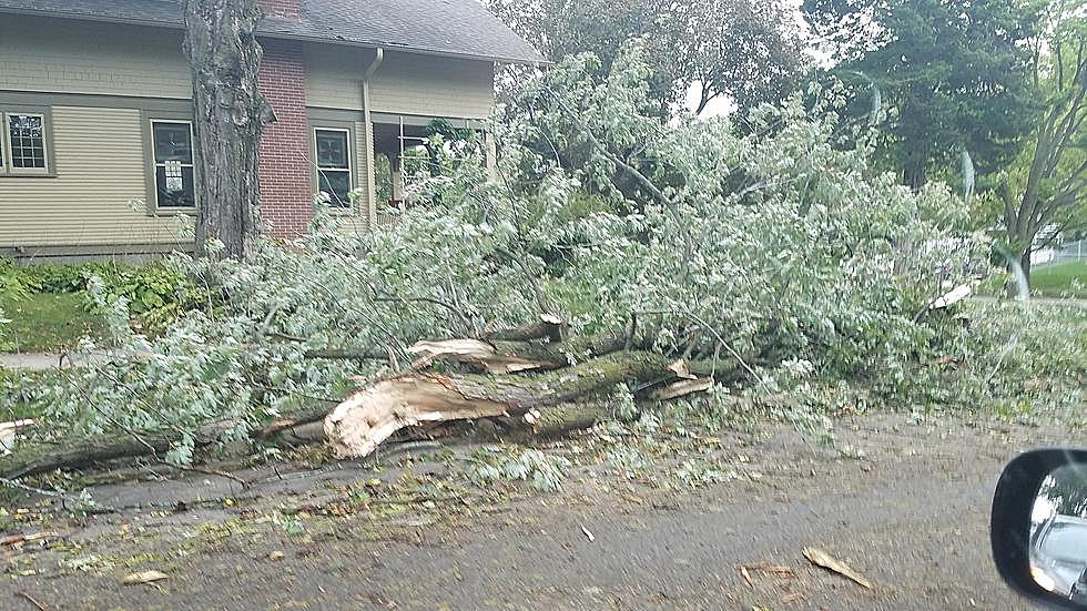 At Least Five Twisters Struck Southern Minnesota Thursday