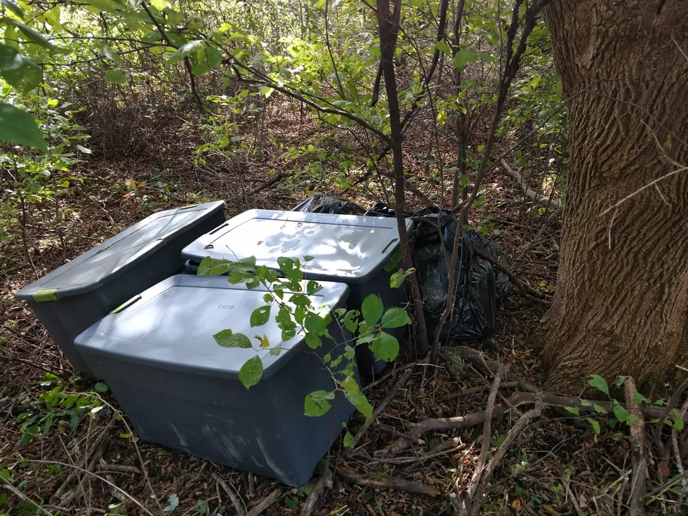 Totes Filled With Pot Found Along Rural Olmsted County Road
