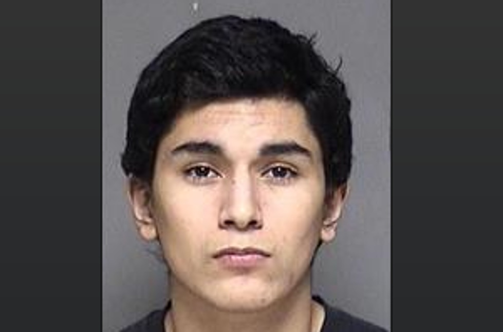 Rochester Teenager Admits Hitting Man With Hammer During Robbery