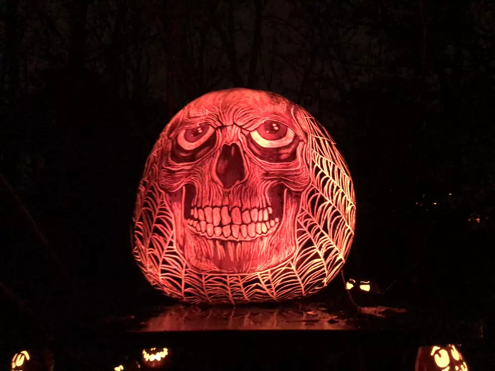 Minnesota Zoo Halloween Event Attracts Thousands